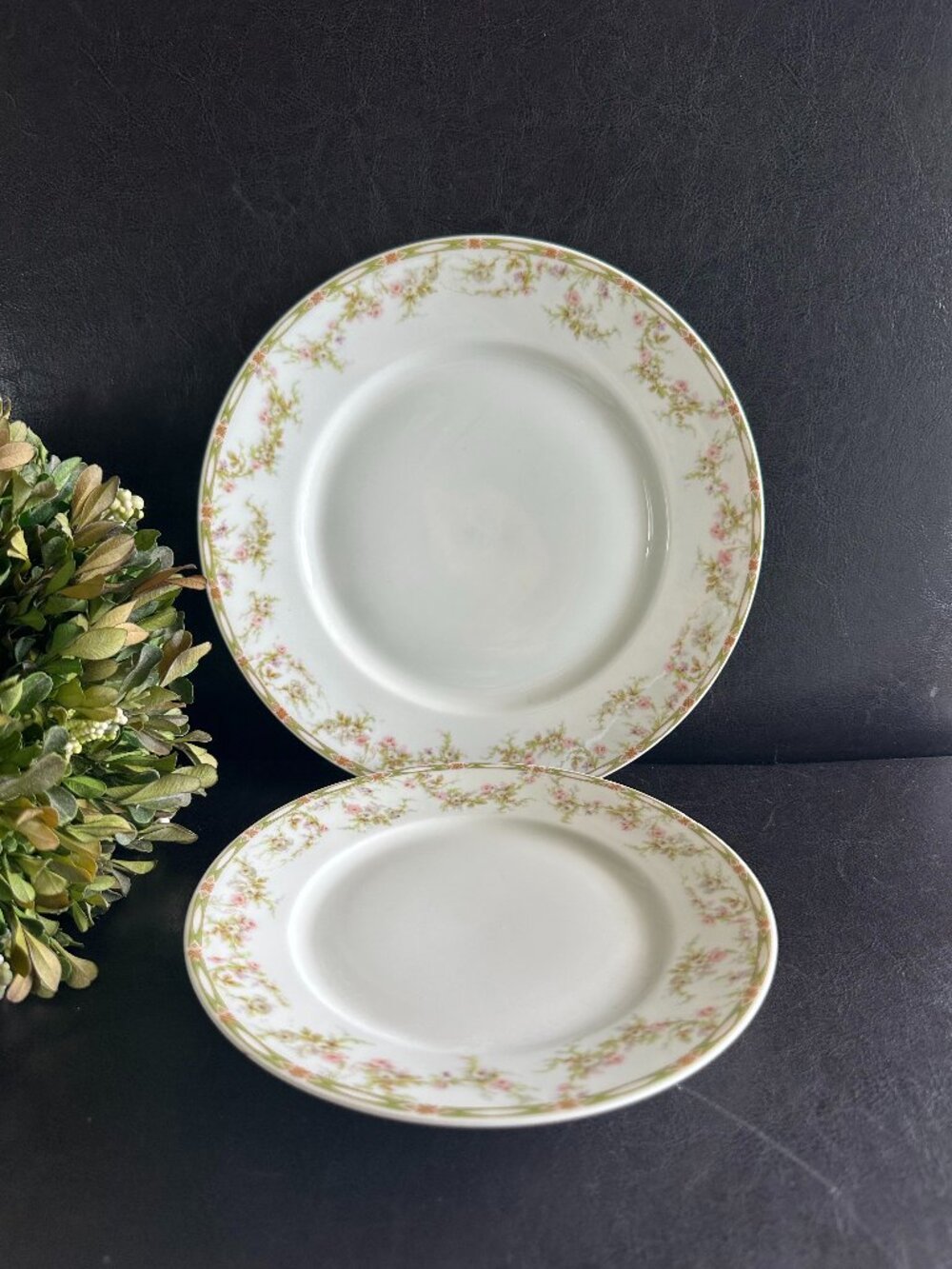 Haviland Limoges France Plate Set Pink Roses & Green Garland #346 Pattern 1903yr